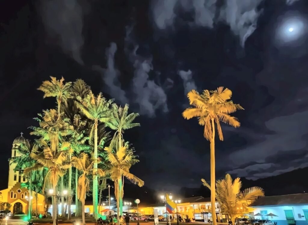 Palmas de cera en la plaza de Salento de noche